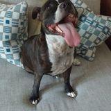Toby avatar