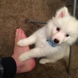 Benjie avatar