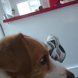 Toby avatar