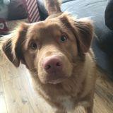 Otis avatar