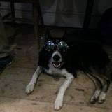 Ben avatar