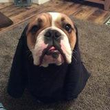 George avatar