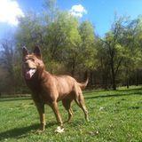 Zilda avatar