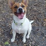 Marley avatar
