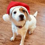 Betsy avatar