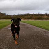 Maggie avatar