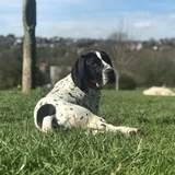 Atticus avatar
