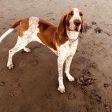 Grappa avatar