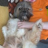 Cooper avatar