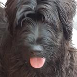 Maggie May avatar