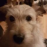 Tess avatar