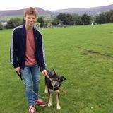 Bailey avatar