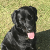 RILEY avatar