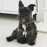 Clyde avatar