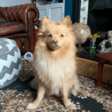 Noah avatar