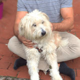 Lilly avatar