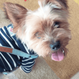 Pablo avatar