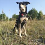Lucy avatar