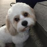 Ernie  avatar
