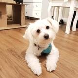 Twyla avatar