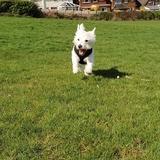 Riley avatar