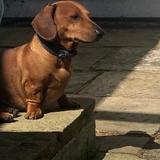 Monty  avatar