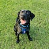 Zion avatar