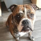 Zack  avatar