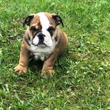 Pablo  avatar