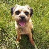 Holly avatar