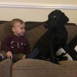 Wilf avatar