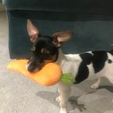 Bruce avatar
