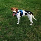 Tilly  avatar