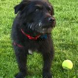 Buster avatar