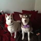 Kiki and Snow avatar