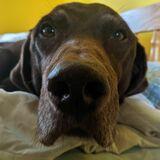 zeus avatar