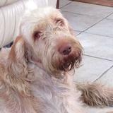Gina  avatar