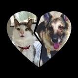 Pete & Kezzo avatar