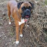 Brandy(aka Bumble) avatar