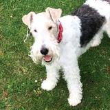 Sophie avatar