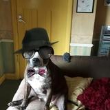 Billy avatar