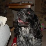 Sophie avatar