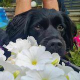 Cooper avatar