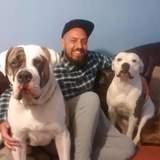 Rocco avatar