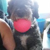 Lía avatar