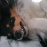 bonnie avatar