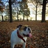 MOlly avatar
