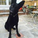 Cilla avatar