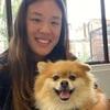 Yiwa: Experienced Pet Sitter in Wembley Park!