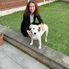 Katherine : Hazel Grove Pet Care offers doggy boarding, daycare and walking 